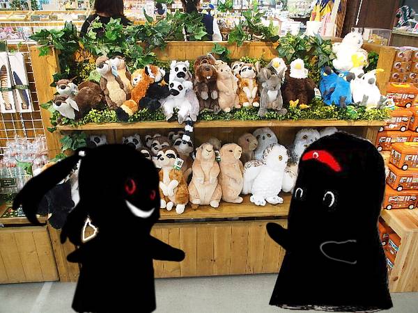 こころを癒す動物たちの王国 神戸どうぶつ王国 をぶらり旅 15 12 13 黒い子図鑑