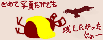 1577960153694.png