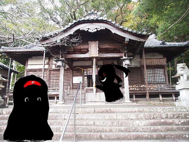 19.jpg