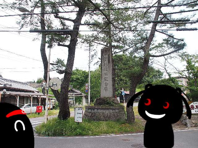 08.jpg