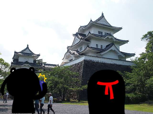 21.jpg