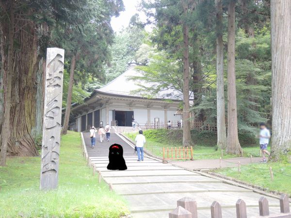 02.jpg