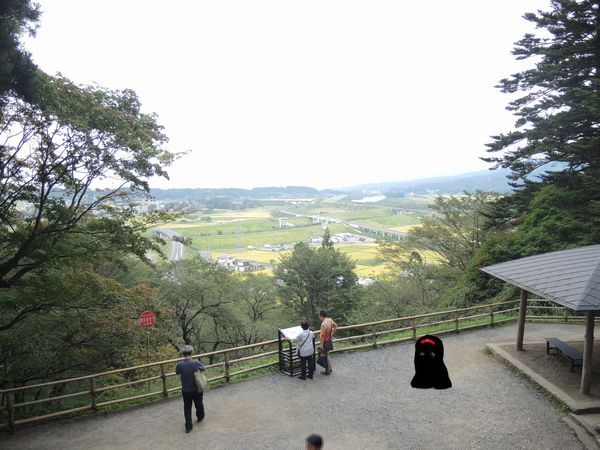 05.jpg