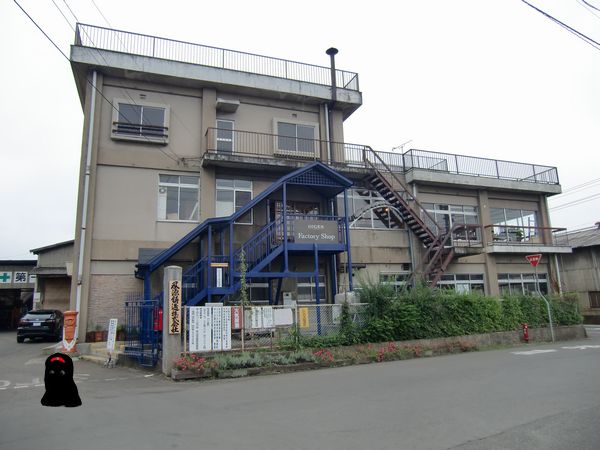 06.jpg