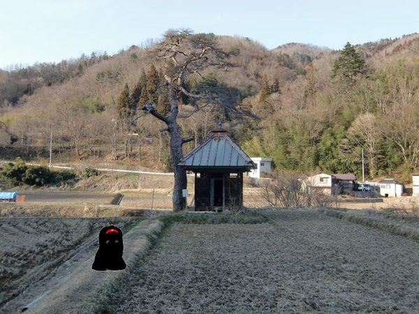 13.jpg