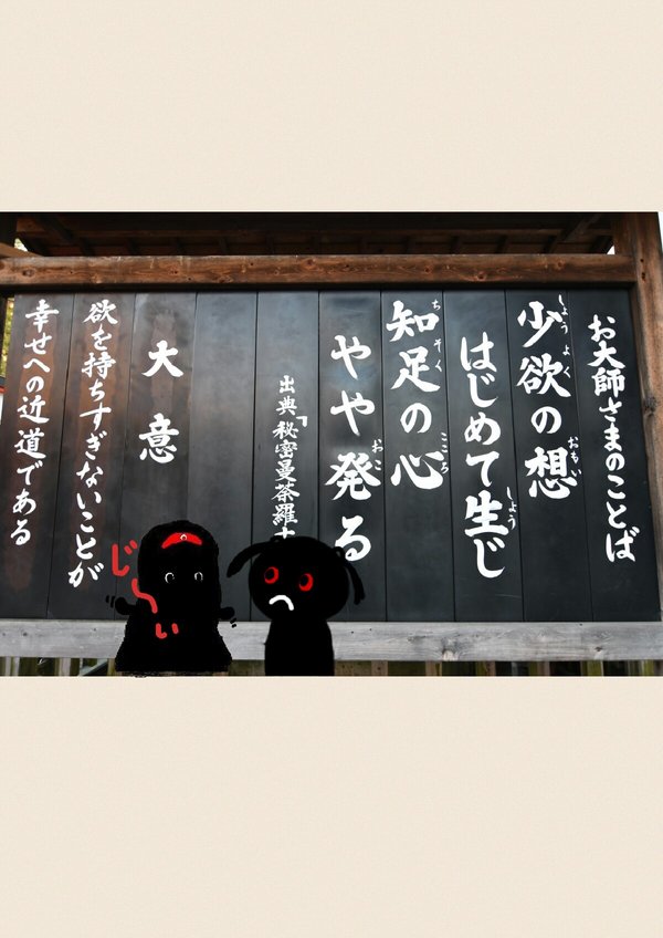 08.jpg