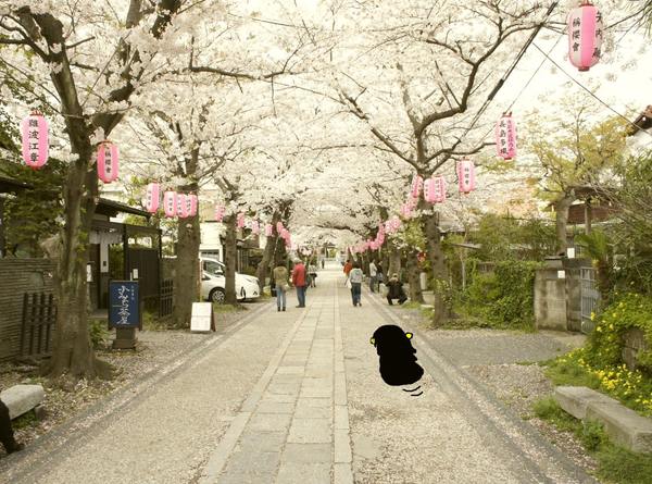 03.jpg