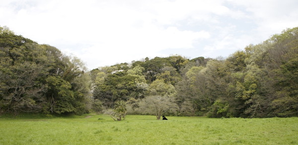 06.jpg