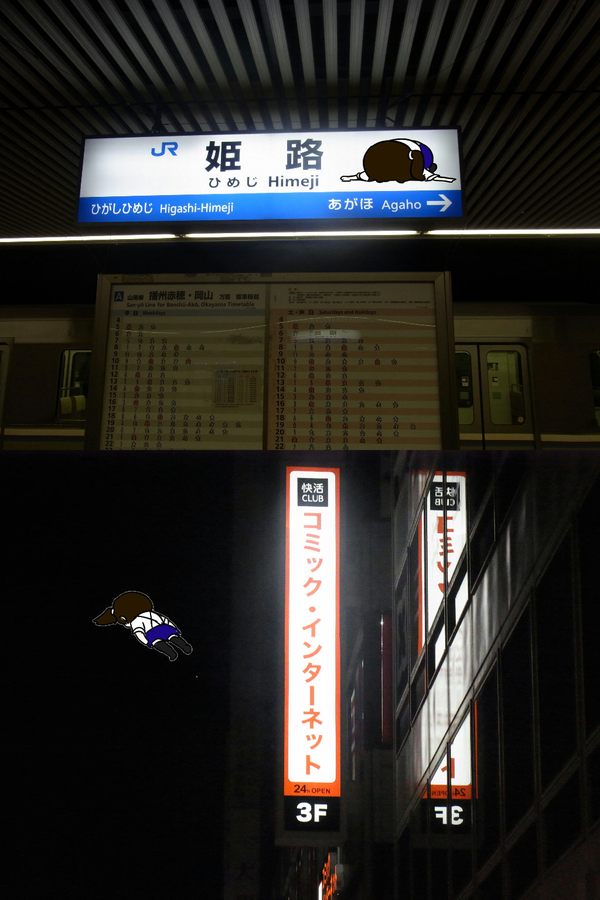 20.jpg