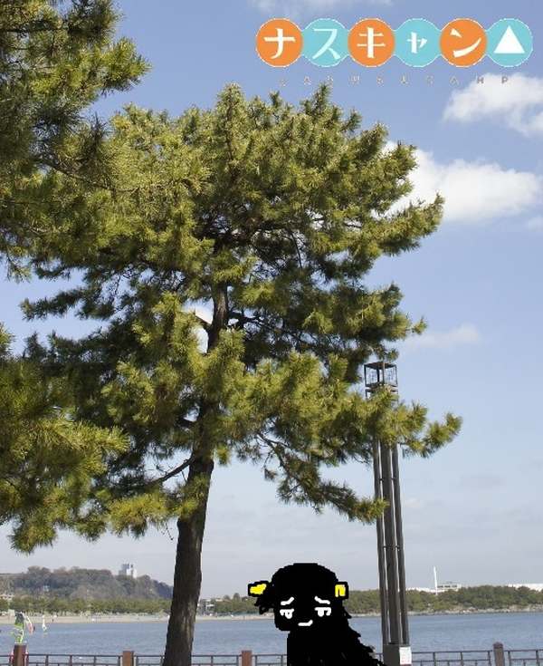 01.jpg
