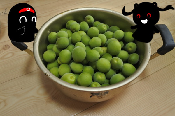 04.jpg