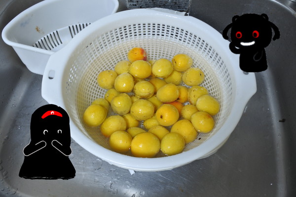 02.jpg