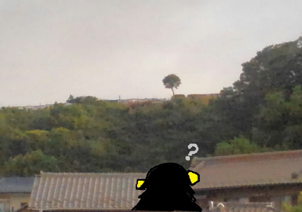 02.jpg