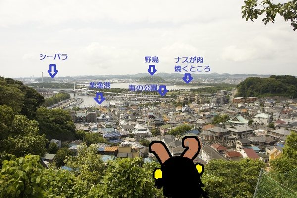 05.jpg