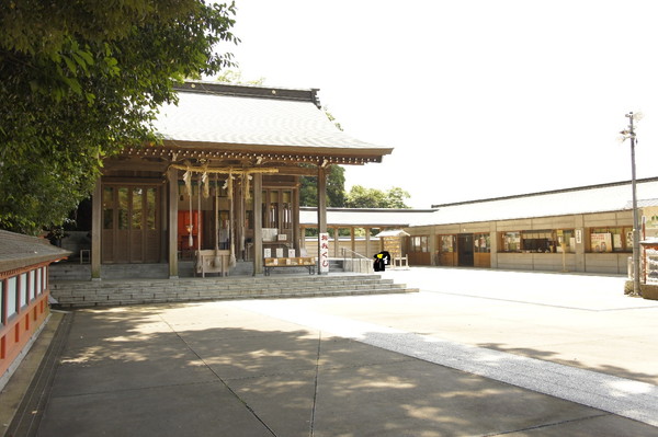 06.jpg