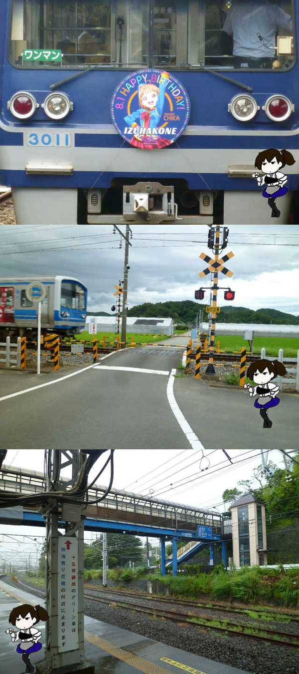 01.jpg