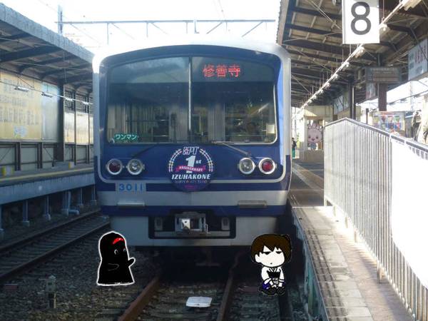 15.jpg