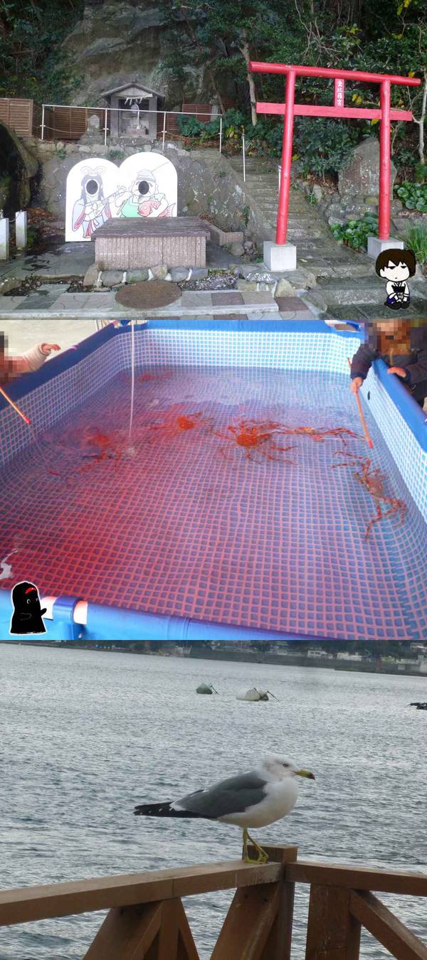 20.jpg